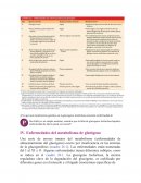 Regulación del glutógeno