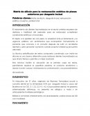 Matriz de silicón para la restauración estética de piezas anteriores por desgaste incisal