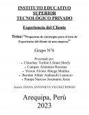 Propuestas de estrategias para el área de Experiencia del cliente de una empresa
