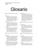 Género, Feminismos, Violencias y Derechos Humanos