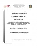 Informe de proyecto “ El medio ambiente”