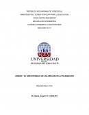 El gran trabajo de las abejas en la polinización