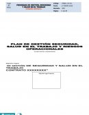 Programa de gestión, seguridad y salud en el trabajo