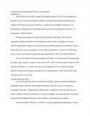 Comentario Fenomenología del relajo de Jorge Portilla