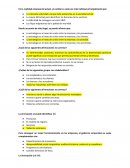 Cuestionario completo estructura organizacional