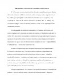 Reflexión Sobre los Derechos del Consumidor en el E-Commerce