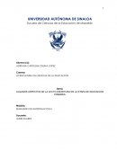 Algunos aspectos de la lecto-escritura en la etapa de educacion primaria