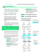 Bioquimica, carbohidratos