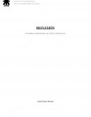 Reflexión informe laboratoria de física individual, espejos