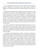 Resumen formacion histórico social de América Latina-Primera Fase