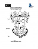 Fortalecimiento de Proyectos Educativos de las Instituciones