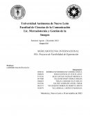 Poryecto pia de exportacion de producto