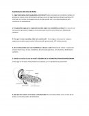 Cuestionario del ciclo de Krebs