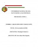 ¿Qué he aprendido de teorías e investigación en psicología?