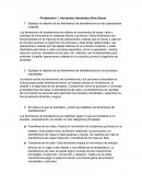 Fenómenos de transferencia