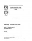 La violencia en México, una crisis de la realidad y los niños que se desenvuelven en ella