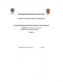 Ensayo sobre experiencias exitosas de innovación en empresas mexicanas