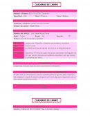 Reflexión docente en relación a la actividad en toda el aula