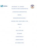 El CRM y su importancia en las empresas de servicios