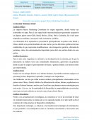 Análisis modelo PEST