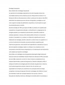 Breve Historia de la Estrategia Empresarial