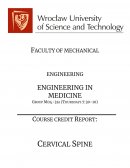 Cervical spine implants