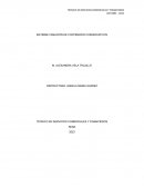 Informe creación de contenidos comunicativos