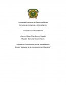 Ensayo evolucion en la comunicacion del marketing