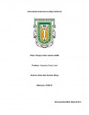 Ensayo sobre valores UABC