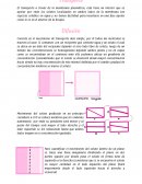 Transporte y difusión