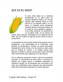 Día del maiz en México