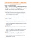 Preguntas teoría montaje