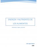 Actividad-Energía y nutrientes de los alimentos