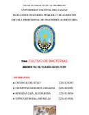 Cultivo de bacterias