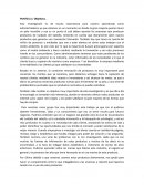 Nuevo producto para el pelo, penetracion de mercado