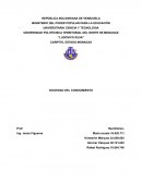 La sociedad del conocimiento