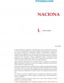 Informe de producción nacional