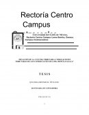 Relación de la Cultura Tributaria y obligaciones tributarias de los comerciantes de Loma Bonita Oaxaca