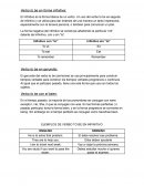 Verbo to be en forma infinitiva