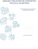 Análisis de Película 100 metros