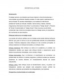 Enfoques teóricos en el trabajo social