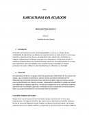 Subculturas del Ecuador
