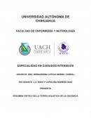 Resumen critico de la teoría Holística de la educación