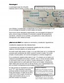 Psicología y cultura del niño