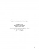 Idea de Negocio La empresa Terram S.A.S