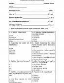 Evaluación texto complementario Un viaje inesperado 6° básico s/r