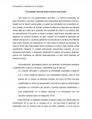 Formulación y Evaluación de un Proyecto.El resultado será tan bueno como lo sea el plan