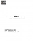 Funciones del Estado en macroeconomía