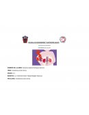 Insuficiencia renal crónica