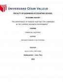 The importance of finance auditing for companies in the current business environment
